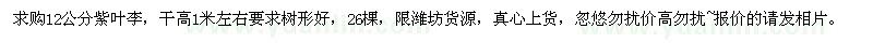 求購12公分紫葉李