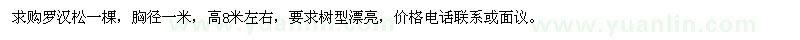 求購胸徑1米羅漢松