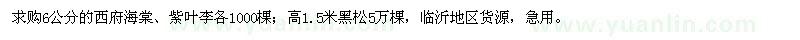求購西府海棠、紫葉李、黑松