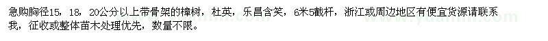 求購樟樹、杜英、樂昌含笑