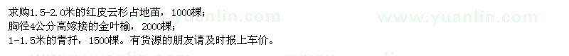 求購(gòu)紅皮云、,金葉榆、青扦