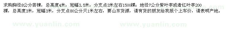求購胸徑8公分苦楝、地徑7公分紫葉李、紅葉李