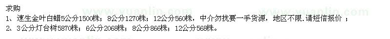 求購(gòu)速生金葉白蠟、燈臺(tái)樹(shù)