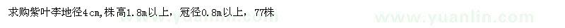 求購紫葉李