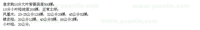 求購大葉紫薇、小葉榕、鳳凰木