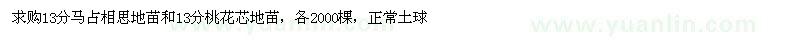 求購13公分馬占相思地苗