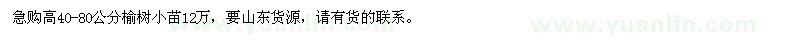 求購高40-80公分榆樹小苗