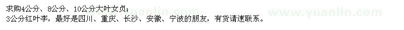 求購大葉女貞、紅葉李