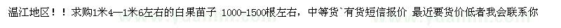 求購1.4-1.6米白果苗子（銀杏苗）