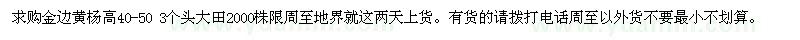 求購高40-50公分金邊黃楊