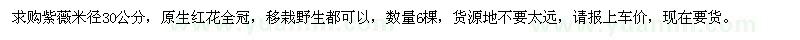 求購米徑30公分紫薇