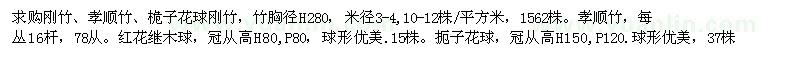 求購剛竹、孝順竹、梔子花球、紅花繼木球