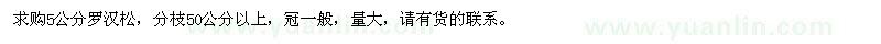 求購5公分羅漢松
