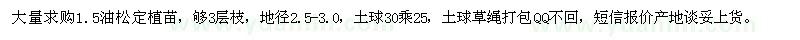 求購高1.5米油松