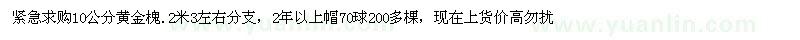 求購10公分黃金槐