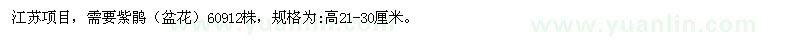 求購(gòu)高21-30公分紫鵑
