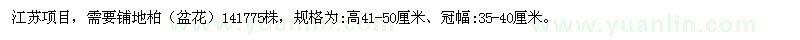 求購高41-50公分鋪地柏