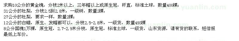 求購黃金槐、杜梨、白蠟、國槐