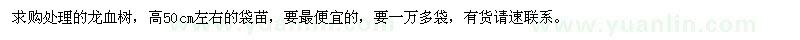 求購高50公分龍血樹