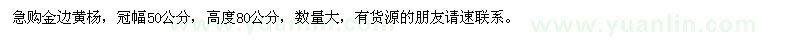 求購(gòu)冠幅50公分金邊黃楊