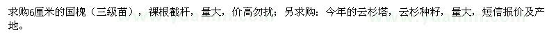 求購國槐、云杉塔、云杉種籽