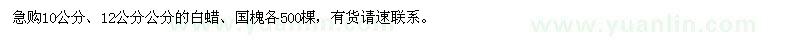 求購10公分、12公分國槐、白蠟