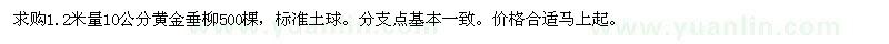 求購10公分黃金垂柳