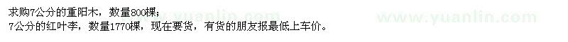 求購(gòu)重陽(yáng)木、紅葉李