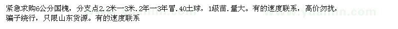 求購6公分國槐