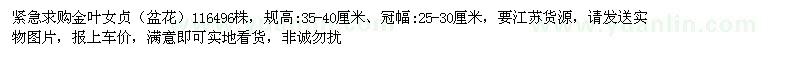 求購高35-40公分金葉女貞