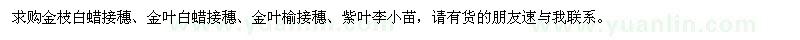 求購金枝白蠟接穗、金葉白蠟接穗、金葉榆接穗