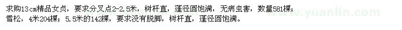 求購精品女貞、雪松