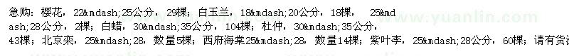 求購櫻花、白玉蘭、白蠟等