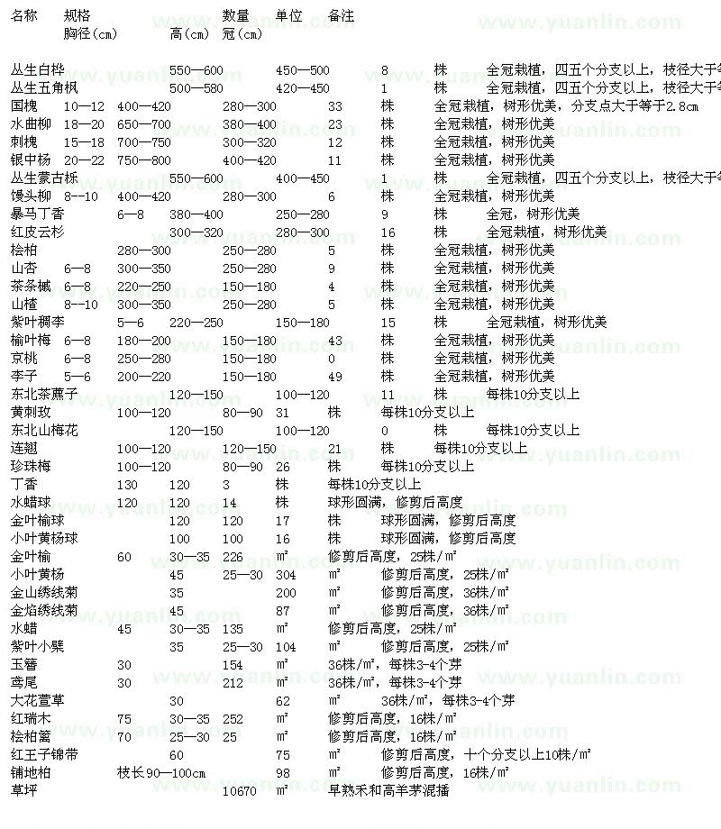 求購叢生白樺、叢生五角楓、國槐
