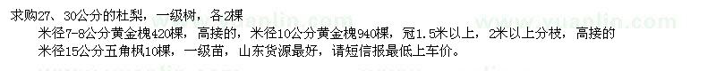 求購(gòu)杜梨、黃金槐、五角楓