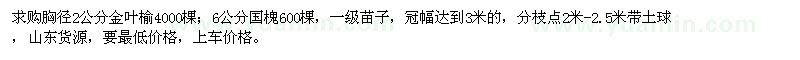 求購胸徑2公分金葉榆、6公分國槐