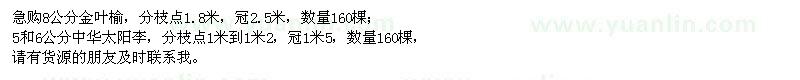 求購(gòu)8公分金葉榆、5、6公分中華太陽(yáng)李