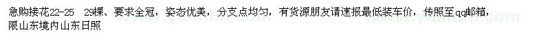 求購22-25公分櫻花
