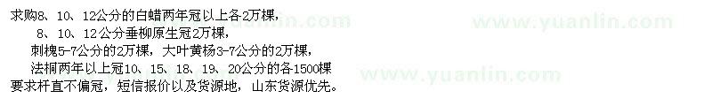 求購白蠟、垂柳、刺槐、大葉黃楊、法桐