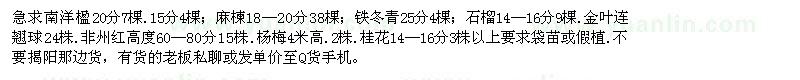 求購(gòu)南洋楹、麻楝、鐵冬青等