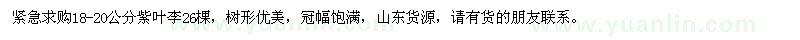 求購(gòu)18-20公分紫葉李