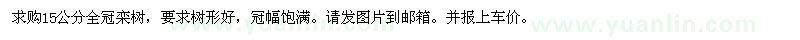 求購(gòu)15公分全冠欒樹(shù)