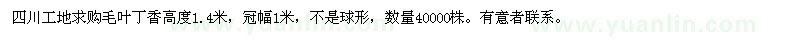 求購(gòu)高度1.4米毛葉丁香