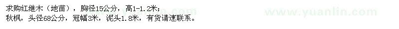 求購紅繼木（地苗）、秋楓