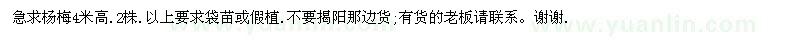 求購高4米楊梅