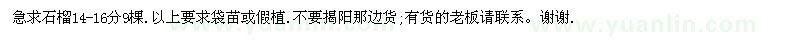 求購14-16公分石榴