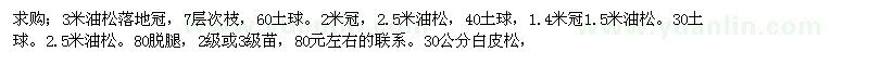 求購(gòu)3米油松