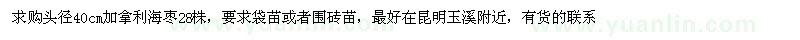 求購(gòu)頭徑40公分加拿利海棗