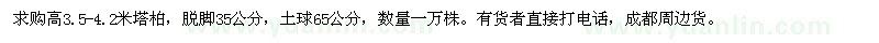 求購(gòu)高3.5-4.2米塔柏