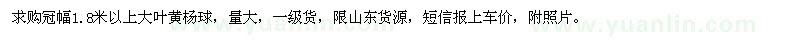 求購(gòu)冠幅1.8米以上大葉黃楊球